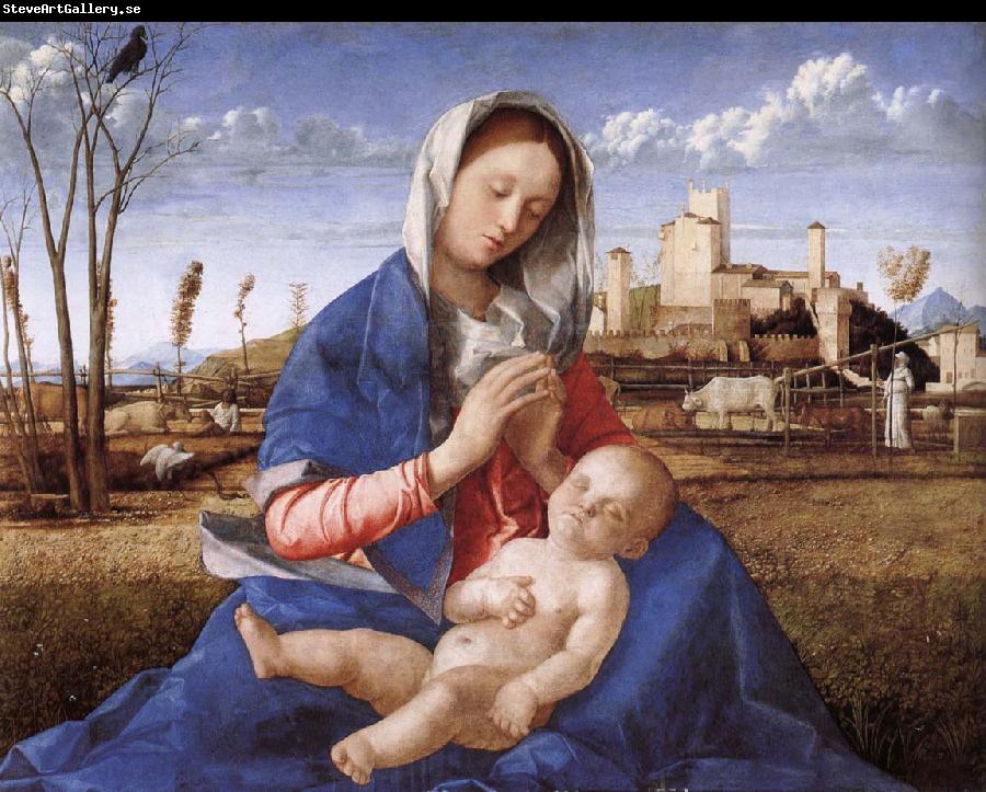 Giovanni Bellini Madonna pa indicated